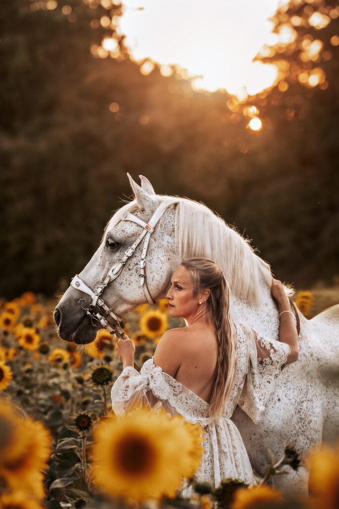 sonnenblumenfeld pferd pferdeshooting